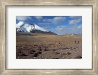 Framed Towards The Summit Of Kongmaru La, Markha Valley, Ladakh, India