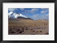 Framed Towards The Summit Of Kongmaru La, Markha Valley, Ladakh, India