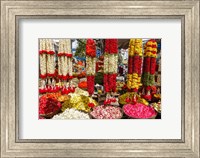 Framed Flower Shop, Southern India