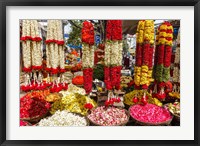 Framed Flower Shop, Southern India