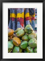 Framed Pile of Coconuts, Bangalore, India