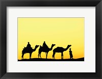 Framed Camels and driver at sunset, Thar Desert, Jodhpur, India