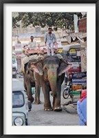 Framed Colorfully decorated elephant, Amber Fort, Jaipur, India