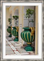 Framed Plant Pots, Raj Palace Hotel, Jaipur, India
