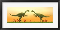 Framed Two Gigantoraptor dinosaurs fighting on green grass by sunset