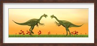 Framed Two Gigantoraptor dinosaurs fighting on green grass by sunset