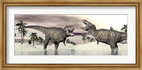 Framed Two Tyrannosaurus rex dinosaurs fighting in the water