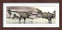 Framed Two Tyrannosaurus rex dinosaurs fighting in the water