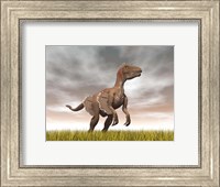 Framed Velociraptor dinosaur standing in the yellow grass