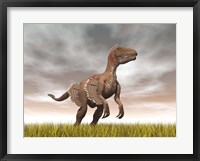 Framed Velociraptor dinosaur standing in the yellow grass