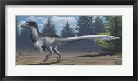 Framed mid-sized Cretaceous China deinonychosaur