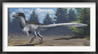 Framed mid-sized Cretaceous China deinonychosaur