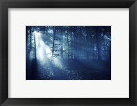 Framed Beam of light in a dark forest, Liselund Slotspark, Denmark