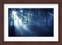 Framed Beam of light in a dark forest, Liselund Slotspark, Denmark