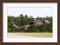 Framed US Army UH-60L Blackhawk helicopter landing at Florida Airport