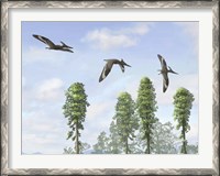 Framed Pteranodon longiceps trio, two males and a female