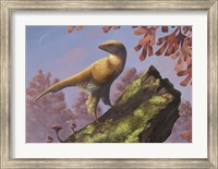 Framed Eosinopteryx brevipenna perched on a tree branch