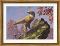 Framed Eosinopteryx brevipenna perched on a tree branch