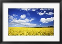 Framed Wind turbine in a canola field against cloudy sky, Denmark