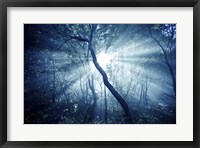 Framed Sun rays in a dark forest, Liselund Slotspark, Denmark