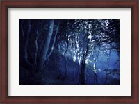 Framed Dark forest, Liselund Slotspark, Denmark