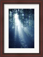 Framed Silhouette of a man standing in the misty rays of a dark forest, Denmark