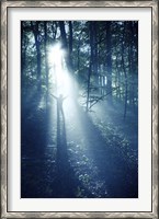 Framed Silhouette of a man standing in the misty rays of a dark forest, Denmark