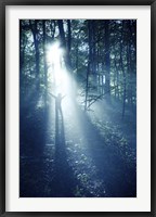 Framed Silhouette of a man standing in the misty rays of a dark forest, Denmark