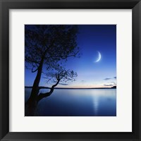 Framed Silhouette of a lonely tree in a lake against a starry sky and moon