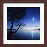 Framed Silhouette of a lonely tree in a lake against a starry sky and moon