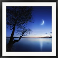 Framed Silhouette of a lonely tree in a lake against a starry sky and moon