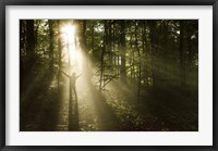 Framed Silhouette of a man standing in the sunrays of a dark, misty forest, Denmark