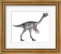 Framed Gigantoraptor dinosaur, white background