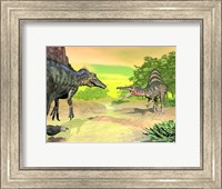 Framed Confrontation between two Spinosaurus dinosaurs