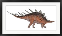 Framed Kentrosaurus dinosaur, white background