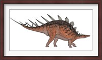 Framed Kentrosaurus dinosaur, white background