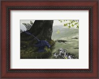 Framed Microraptor gui eating a small fish