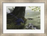 Framed Microraptor gui eating a small fish