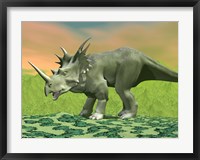 Framed 3D rendering of a Styracosaurus dinosaur