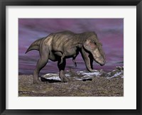 Framed Aggressive Tyrannosaurus Rex dinosaur walking in the desert