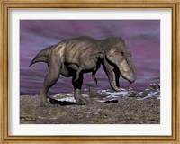 Framed Aggressive Tyrannosaurus Rex dinosaur walking in the desert