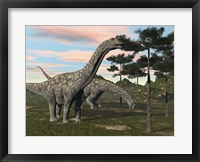 Framed Argentinosaurus dinosaur grazing on treetops