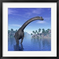 Framed Brachiosaurus dinosaur in a tropical climate