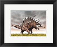 Framed Kentrosaurus dinosaur running on the yellow grass