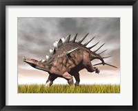 Framed Kentrosaurus dinosaur running on the yellow grass