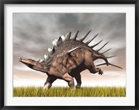 Kentrosaurus dinosaur running on the yellow grass Framed Print