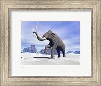Framed Large mammoth walking slowly on the snowy mountain