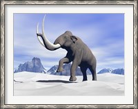 Framed Large mammoth walking slowly on the snowy mountain