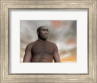 Framed Male Homo Erectus, an extinct species of hominid