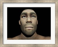Framed Portrait of a male Homo Erectus